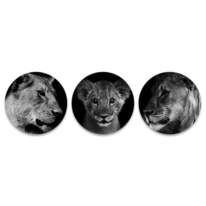 leeuwen familie rond
