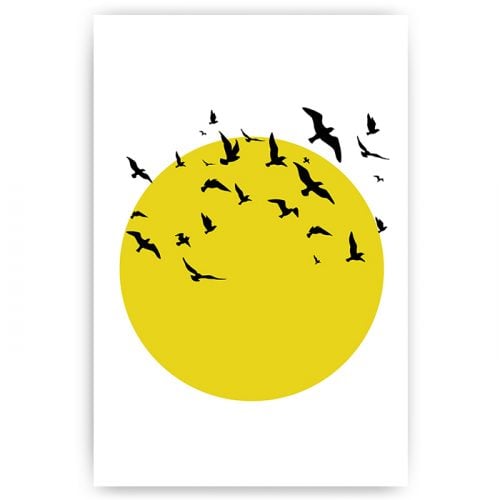 poster illustratie zon vogels