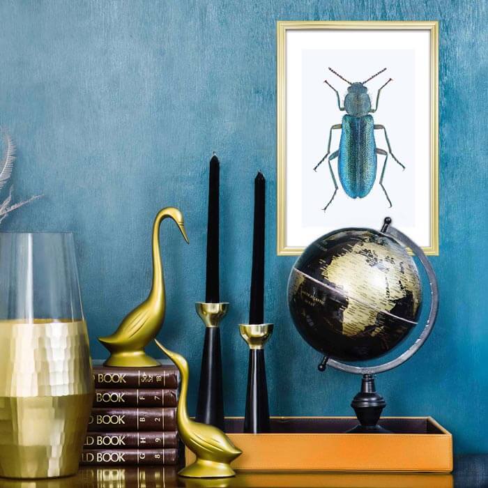 poster insect kever blauw