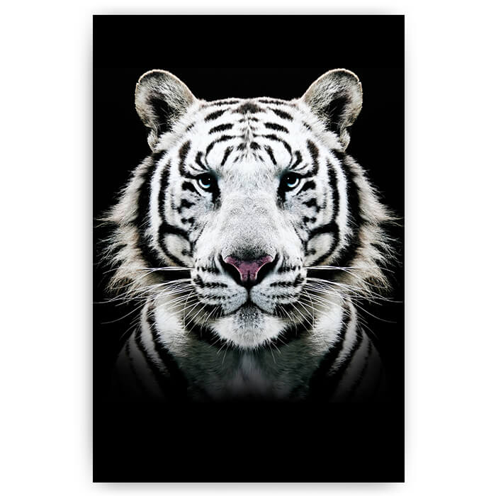 ego tekort Verlaten Portret witte tijger | Unieke interieurposters - Sfeer aan de Muur