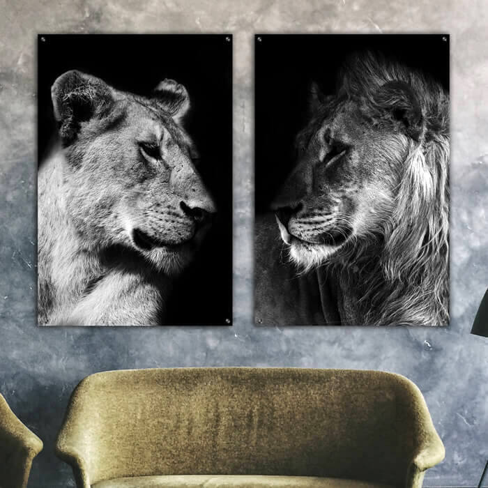 poster set leeuw leeuwin duo