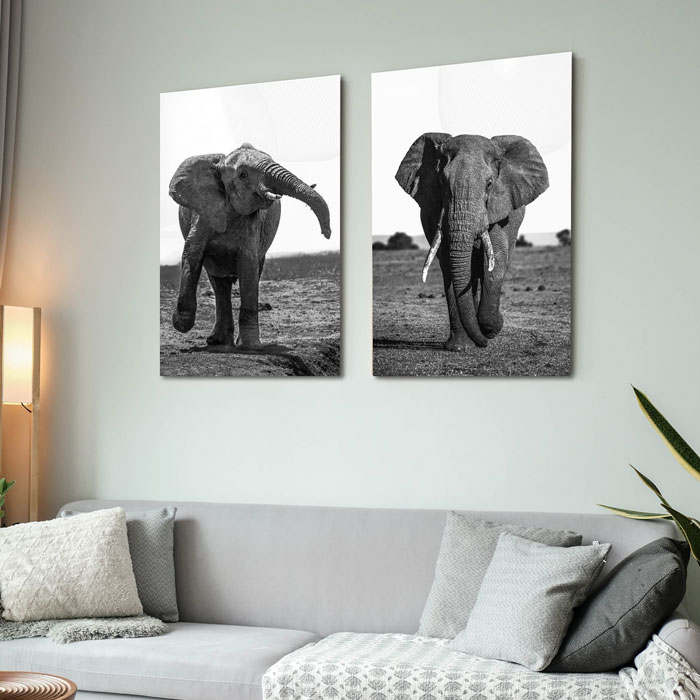 olifanten schilderijen