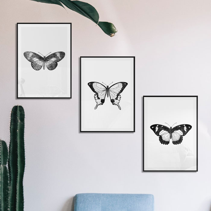 poster set vlinders
