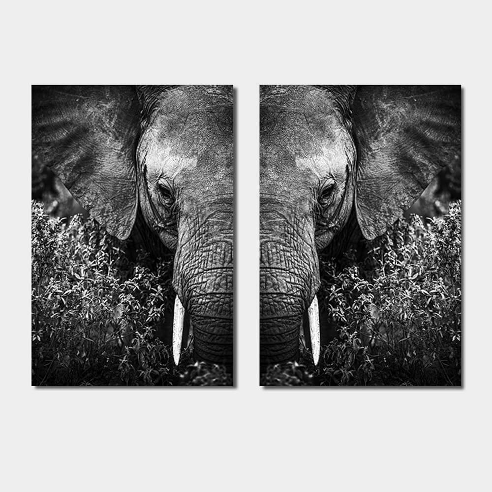 Set olifant kop met struik zwart wit