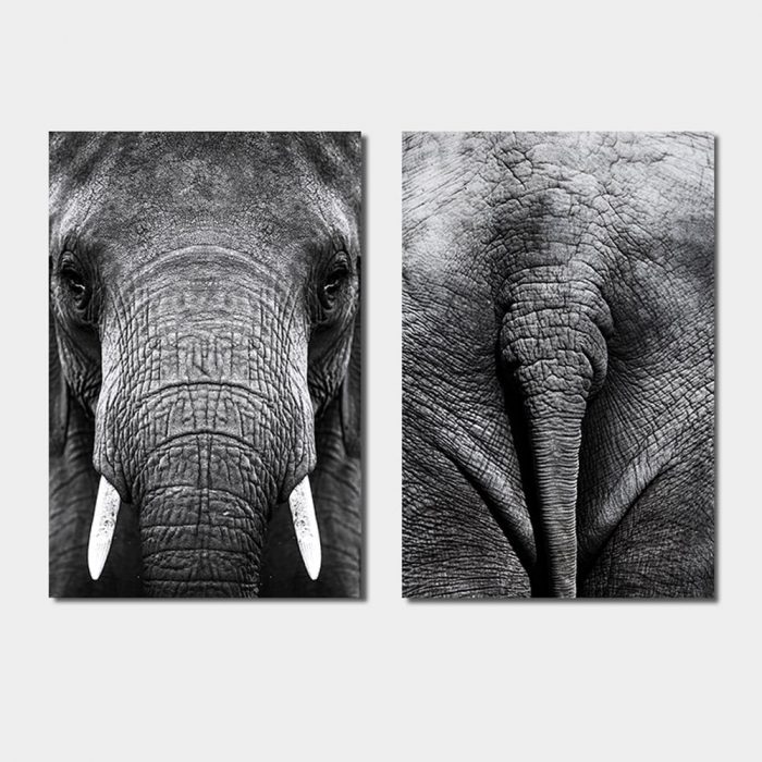 tweeluik olifant kop staart