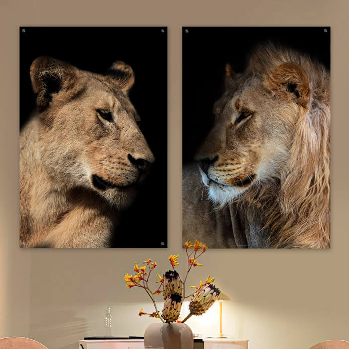 woonkamer wanddecoratie leeuwen set