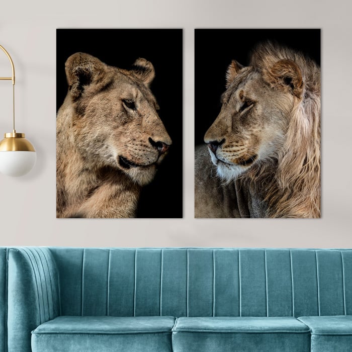 leeuw en leeuwin duo kleur - Foto schilderijen in een woonkamer