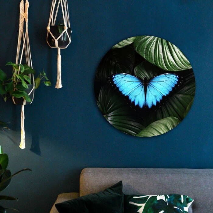 rond schilderij met een blauwe vlinder in een woonkamer