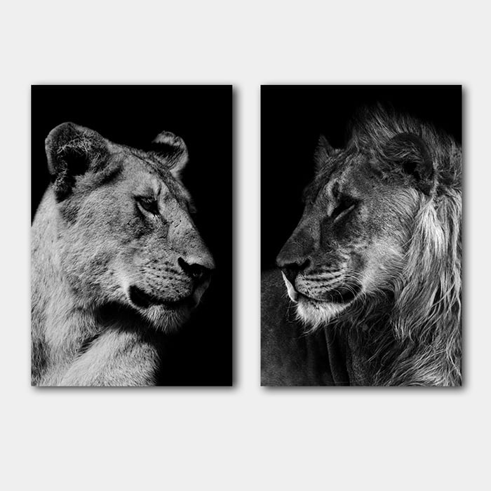 Set leeuw & leeuwin duo zwart wit