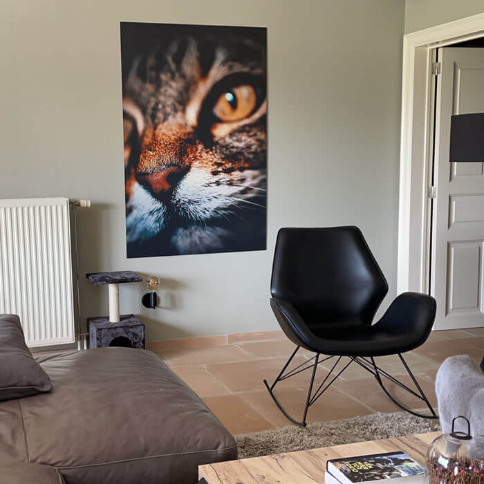 aluminium schilderij van kat in een woonkamer