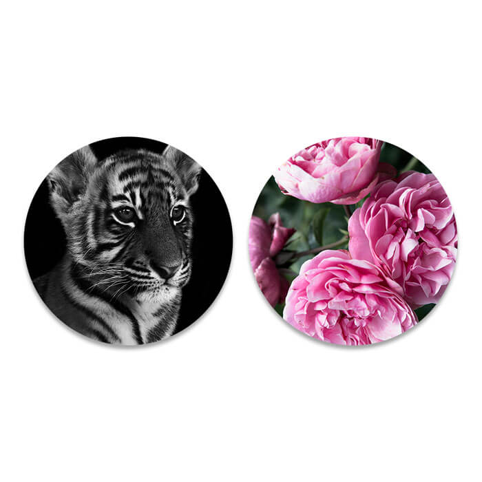 Set jonge tijger & roze rozen