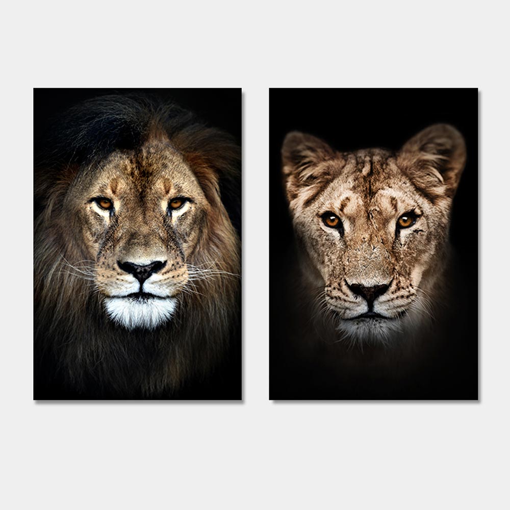 Set leeuw en leeuwin met bruine ogen
