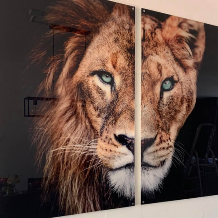 plexiglas close-up schilderij met leeuwen