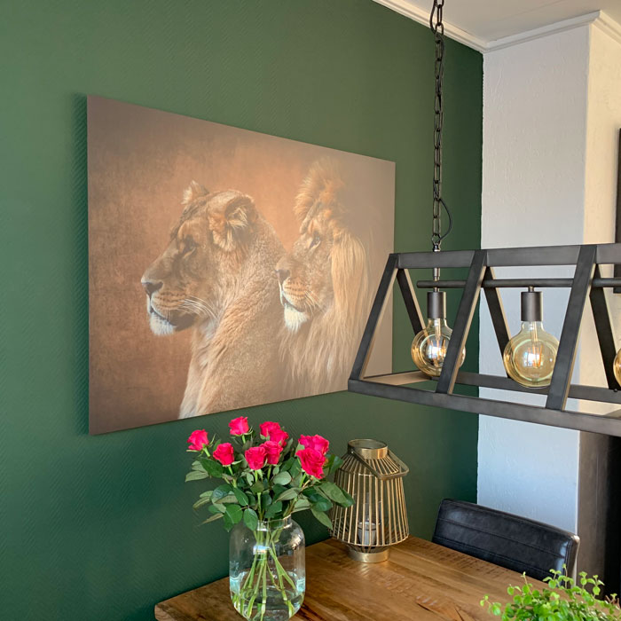 aluminium schilderij met twee leeuwen in een kleurrijke woonkamer