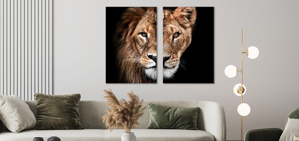 dibond schilderijen set met leeuwen