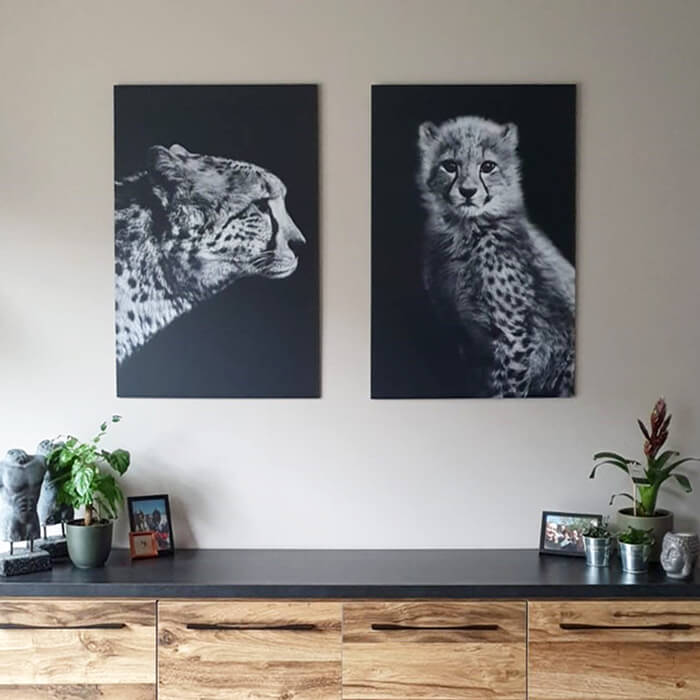 dibond schilderijen set met twee luipaarden