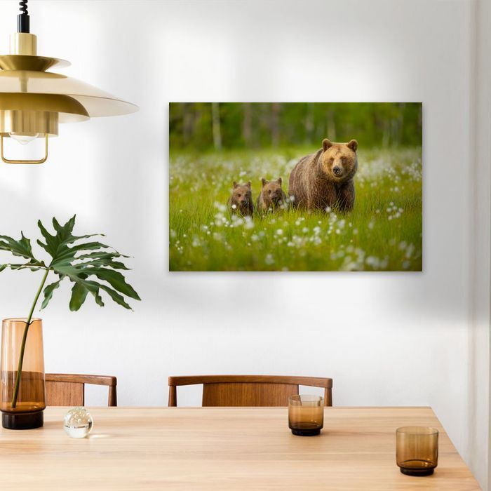 beren familie foto poster/schilderij