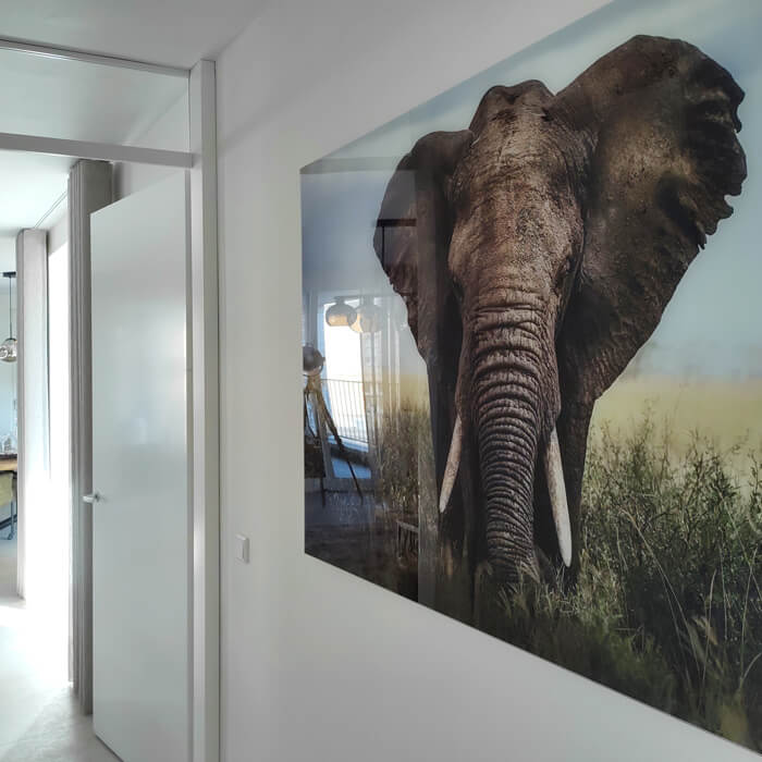 groot formaat plexiglas schilderij met olifant in een hal